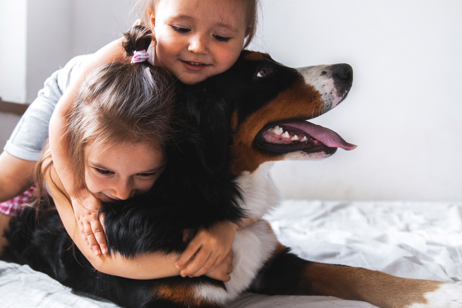 Niños con mascotas desarrollan mejor sistema inmunológico